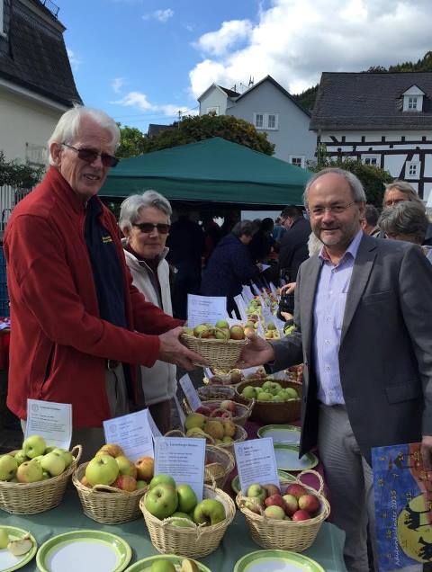 Heimische Apfelsorten